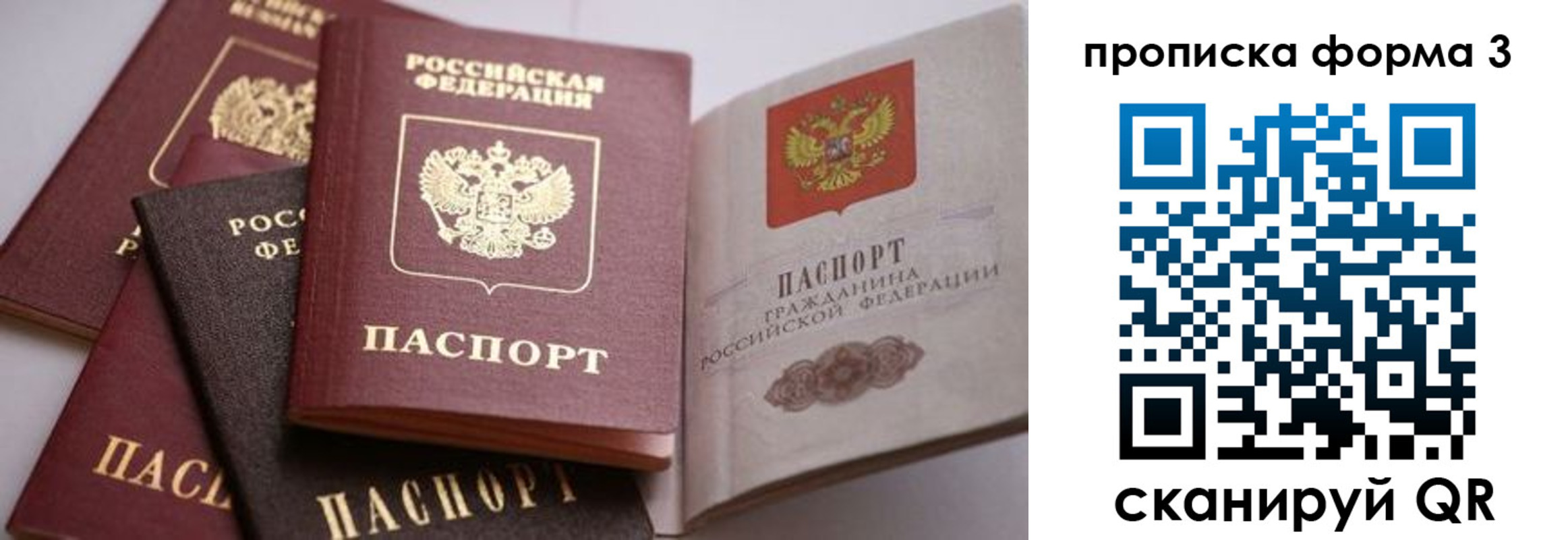 прописка для школы в Химках